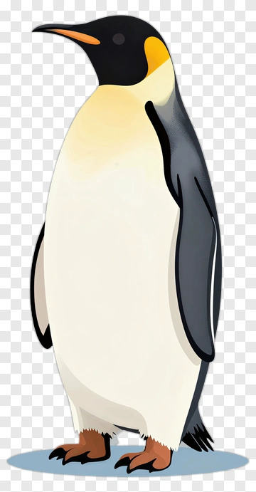 Cartoon Penguin PNG