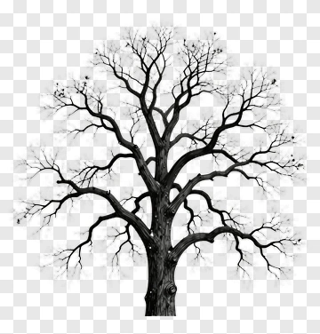 Black And White Tree With Bare Branches PNG