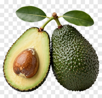 Avocado Halved With Seed PNG