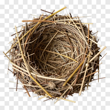 Bird Nest PNG