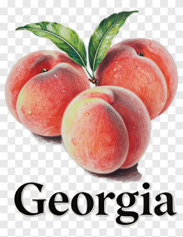 Georgia Peaches PNG