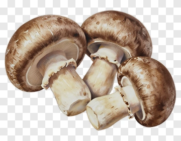 Brown Mushrooms PNG
