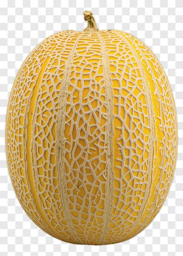 Melon With Intricate Rind Pattern PNG
