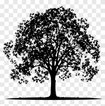 Silhouette Tree PNG