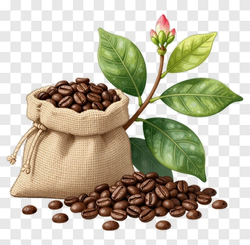 Coffee Bag With Beans And Plant PNG