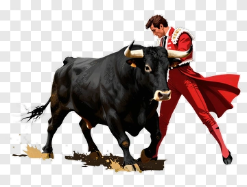 Bullfighter Engaging With A Bull PNG