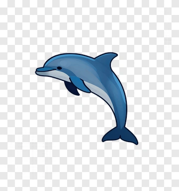 Cartoon Dolphin Swimming PNG