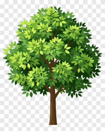 Colorful Tree PNG
