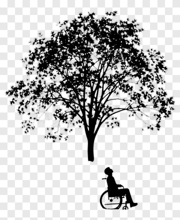 Silhouette Of A Person In A Wheelchair Under A Tree PNG