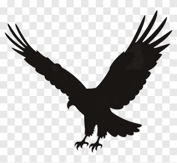 Silhouette Of A Flying Hawk PNG