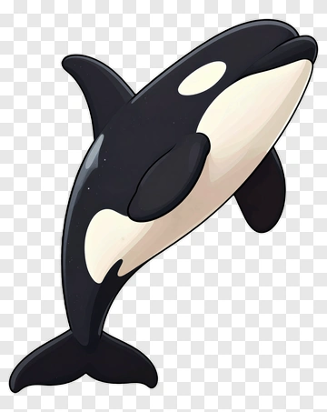 Cartoon Orca Whale PNG