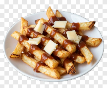 Plate Of Fries With Gravy And Cheese PNG