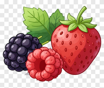 Colorful Cartoon Berries With Leaves PNG
