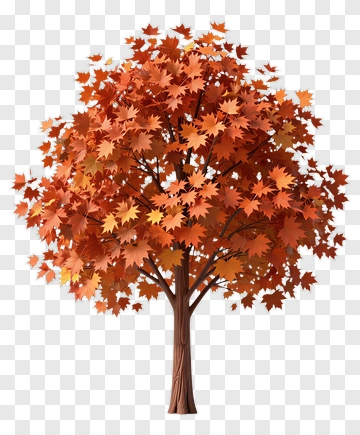 Colorful Autumn Tree PNG