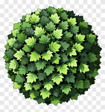 Green Leafy Bush PNG
