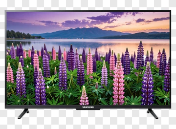 Samsung Tv Displaying Purple Flower Field PNG