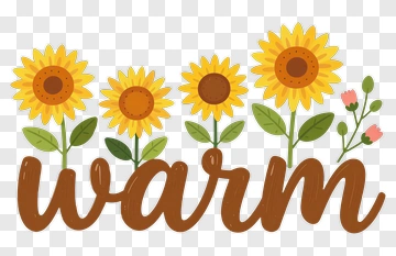 Warm Sunflower Design PNG