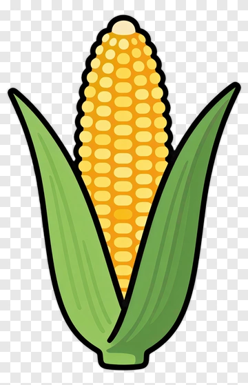 Cartoon Corn On The Cob PNG