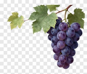 Bunch Of Grapes With Green Leaves PNG