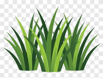 Green Grass Clump PNG