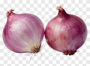 Fresh Red Onion PNG
