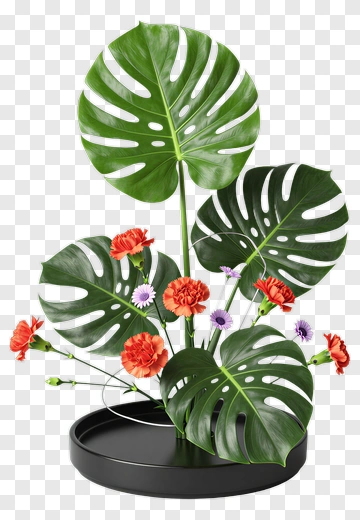 Colorful Flower Arrangement With Monstera Leaves PNG