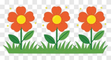 Colorful Flowers In A Garden PNG