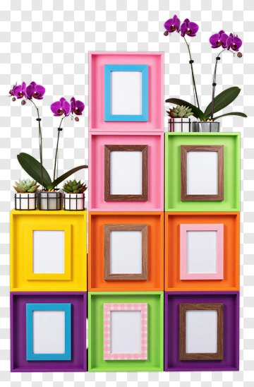 Colorful Shelves With Flower Pots And Picture Frames PNG