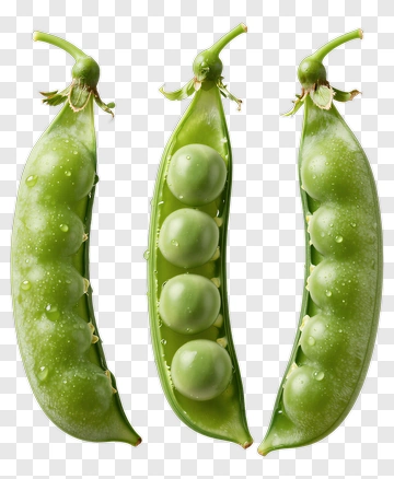 Green Peas In Pods PNG