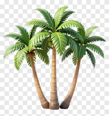 3D Palm Trees PNG