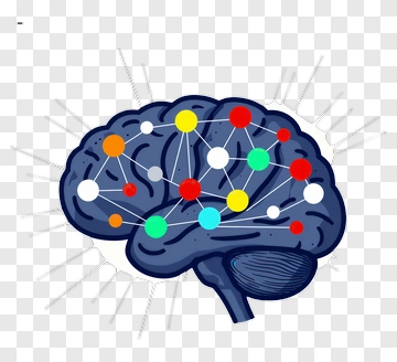Illustration Of A Brain With Colorful Connections PNG