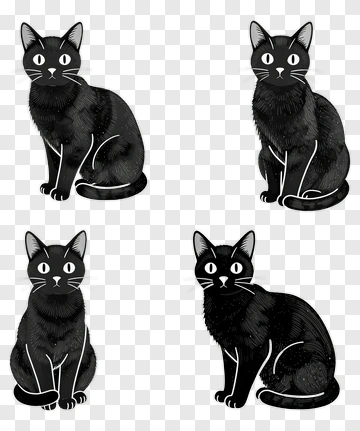 Black Cat Illustration Set PNG