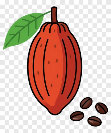 Cartoon Cocoa Pod With Coffee Beans PNG