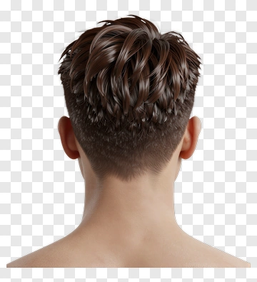 Short Brown Hair From The Back PNG