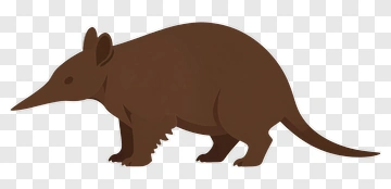Brown Echidna PNG