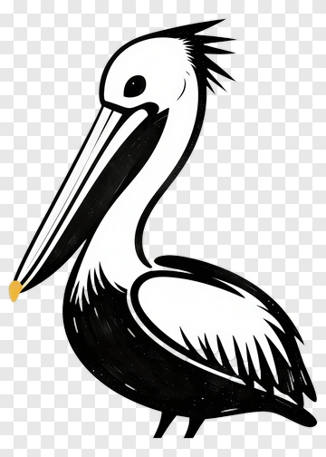 Cartoon Pelican PNG