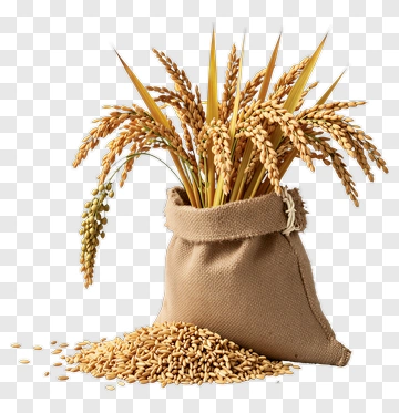 Sack Of Wheat With Grain Stalks PNG
