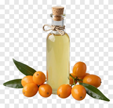 Bottle Of Oil Surrounded By Loquat Fruits PNG