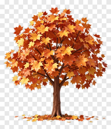 Colorful Autumn Tree PNG