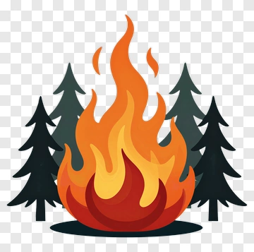Campfire Surrounded By Pine Trees PNG