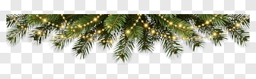 Christmas Pine Branch With Lights PNG