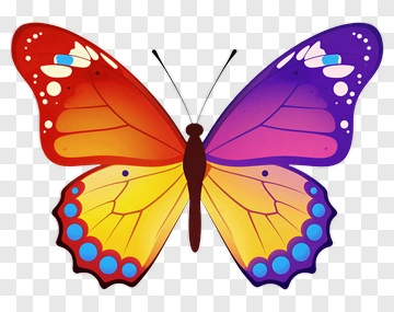Colorful Butterfly With Vibrant Wings PNG