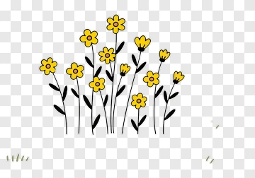 Colorful Yellow Flowers PNG