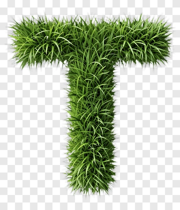 Grass Letter T PNG