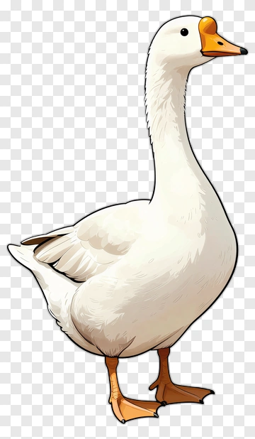 Cartoon Goose PNG