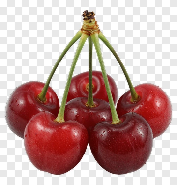 Fresh Red Cherries Bunch PNG