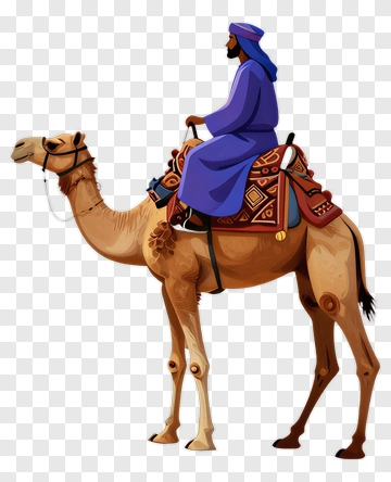 Man Riding A Camel In Traditional Garb PNG