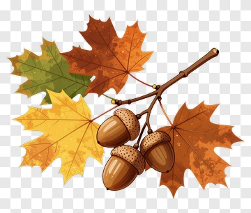 Autumn Leaves With Acorns PNG