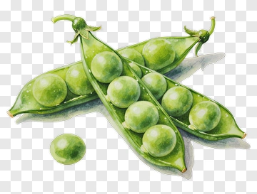 Green Peas In A Pod PNG