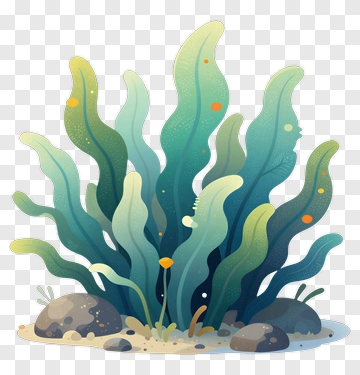 Colorful Seaweed In A Marine Environment PNG